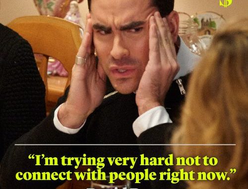 picture of David Rose from Schitt's Creek and the quote "I'm trying very hard not to connect with people right now."