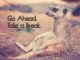 image of sitting meerkat with the text "Go Ahead. Take a break."