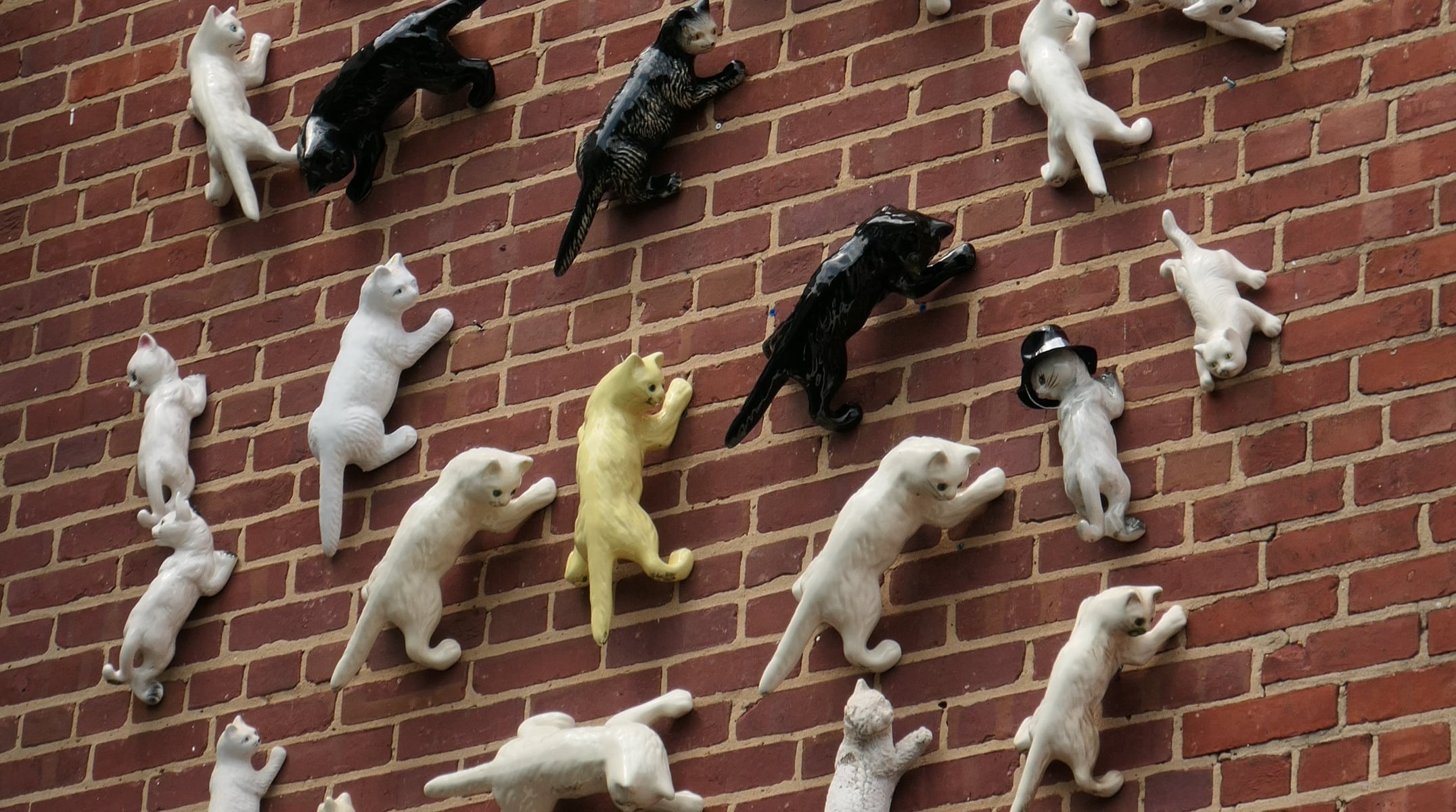 Closeup of ceramic cats on a wall