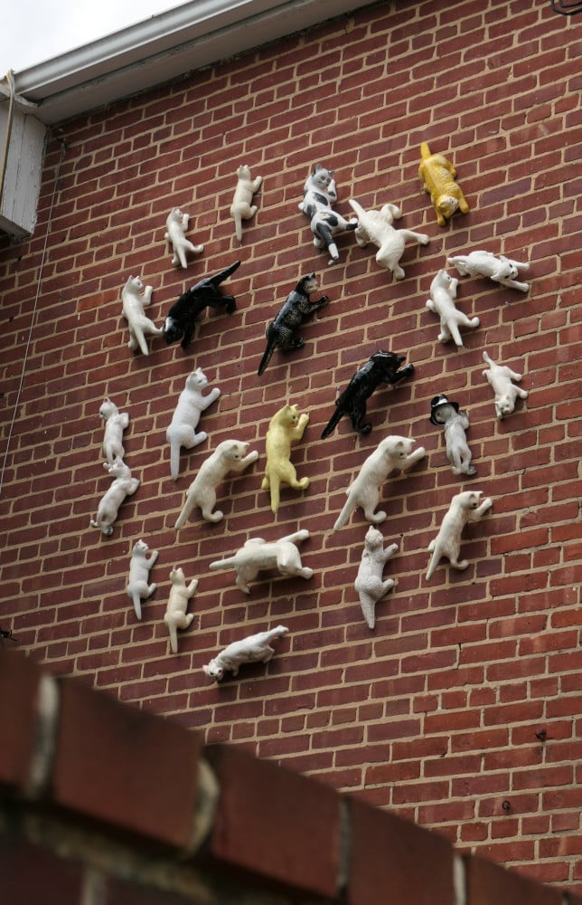 Ceramic cats on a wall