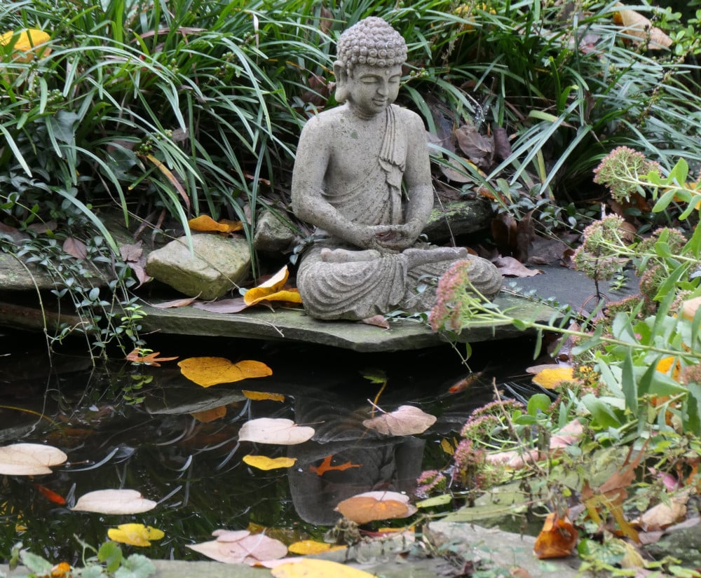 Buddha and fish pond