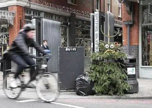 Photo of a cyclist riding past a decorated but dead Christmas tree on the street curb.