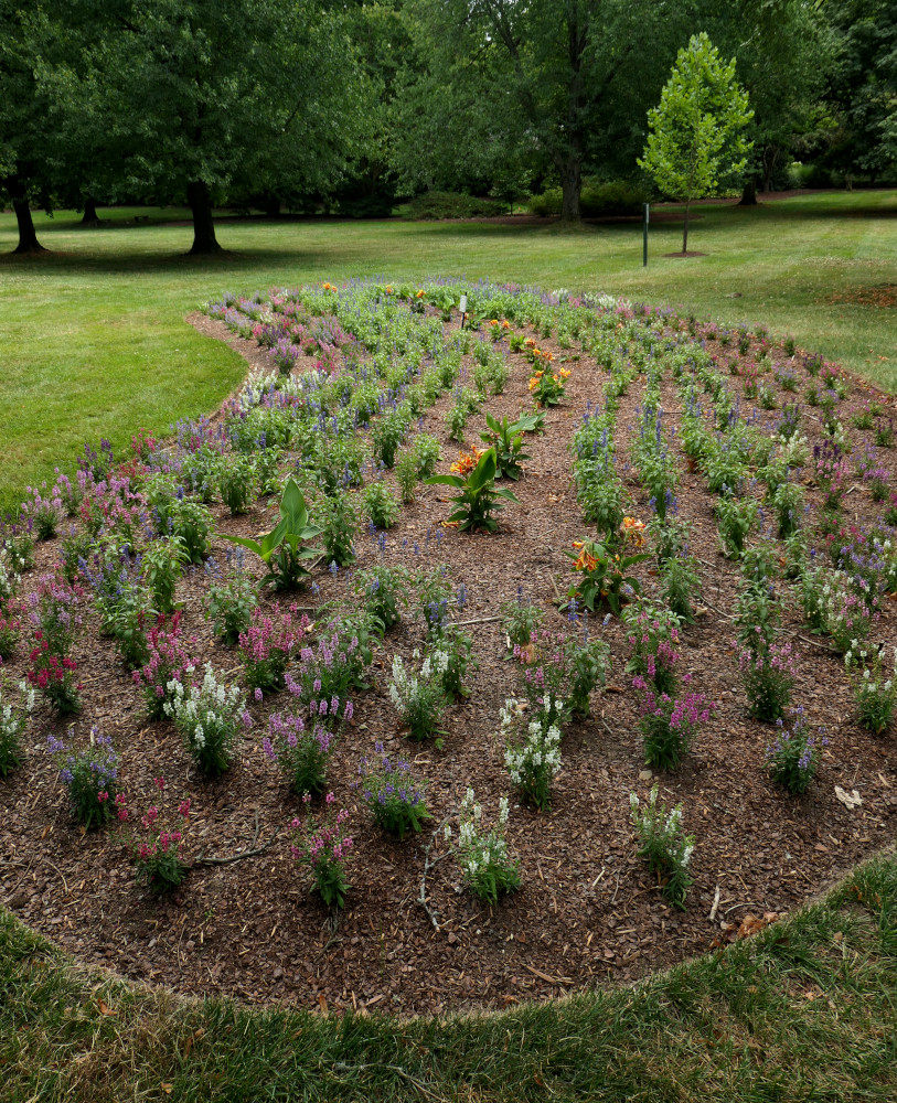 Flower bed