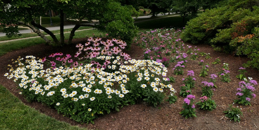 Flower bed