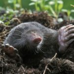 Profile picture of usedtobehere